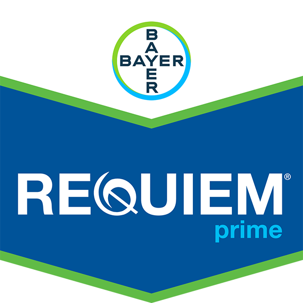 Requiem Prime Logo